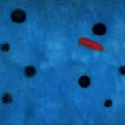 Ceci n’est pas une Pièce